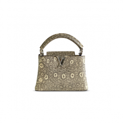 LOUIS VUITTON CAPUCINES MINI M98156 (21*14*8cm)